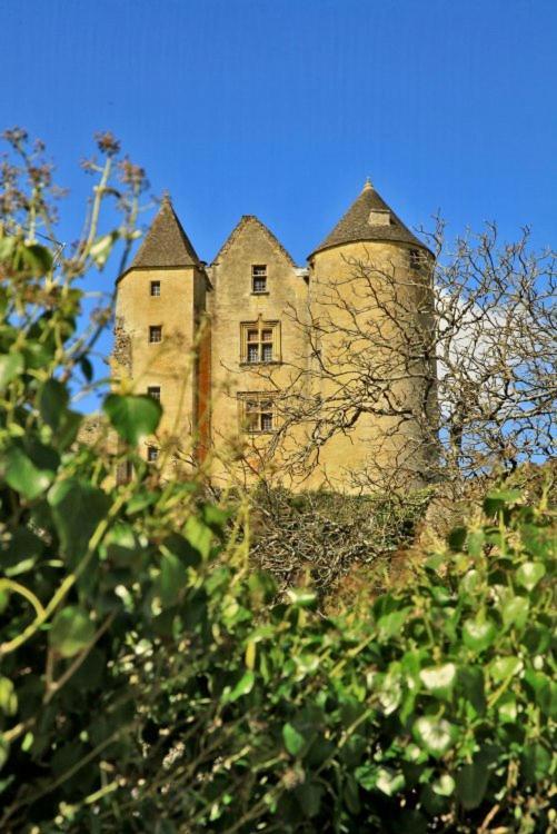 Petite Maison En Pierre Au Coeur Du Perigord Noir Salignac Eyvigues Zewnętrze zdjęcie