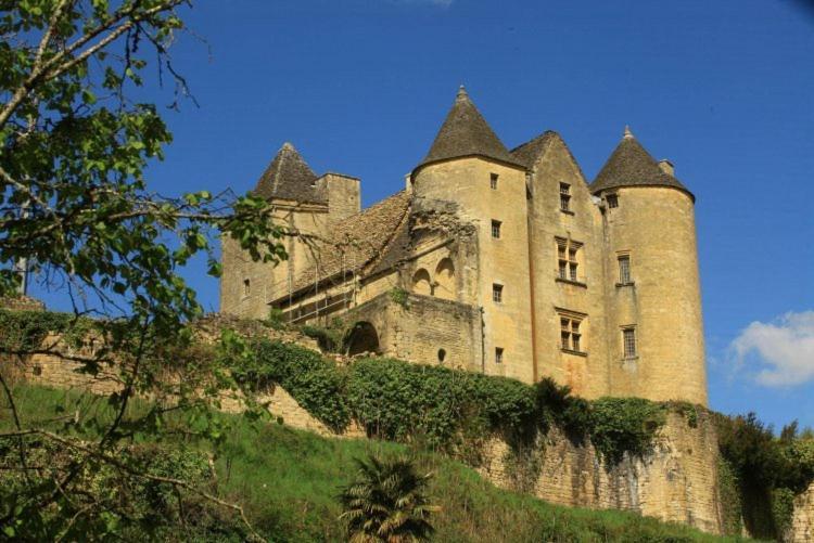 Petite Maison En Pierre Au Coeur Du Perigord Noir Salignac Eyvigues Zewnętrze zdjęcie
