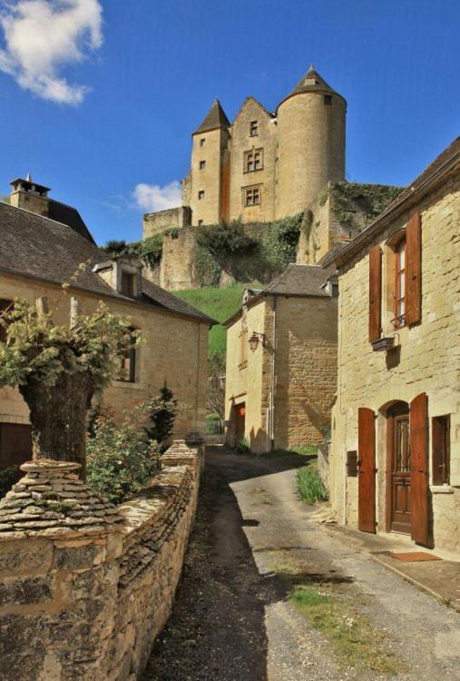 Petite Maison En Pierre Au Coeur Du Perigord Noir Salignac Eyvigues Zewnętrze zdjęcie