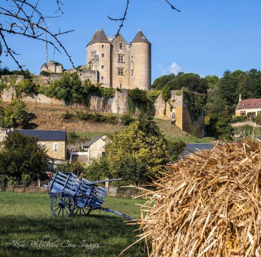Petite Maison En Pierre Au Coeur Du Perigord Noir Salignac Eyvigues Zewnętrze zdjęcie